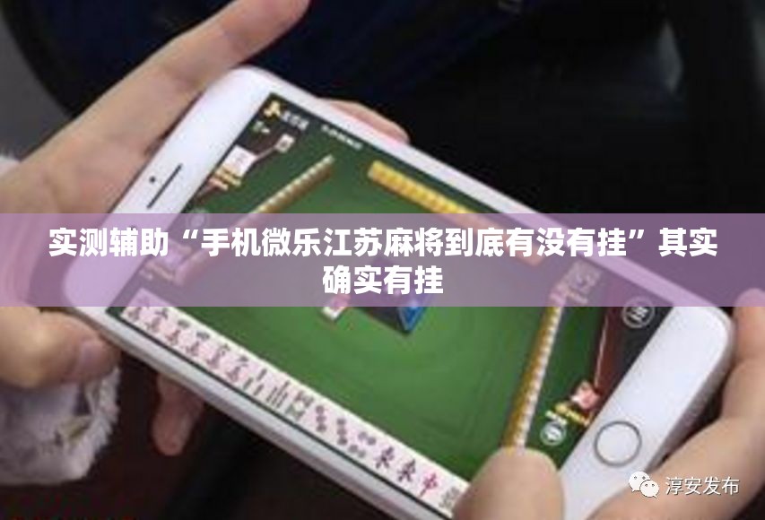 实测辅助“手机微乐江苏麻将到底有没有挂	”其实确实有挂