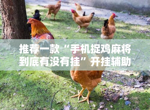 推荐一款“手机捉鸡麻将到底有没有挂	”开挂辅助脚本+详细开挂安装教程