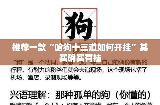 推荐一款“哈狗十三道如何开挂	”其实确实有挂