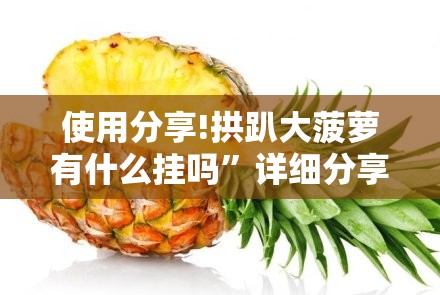 使用分享!拱趴大菠萝有什么挂吗”详细分享装挂步骤