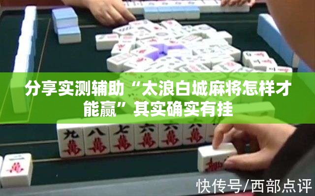 分享实测辅助“太浪白城麻将怎样才能赢”其实确实有挂