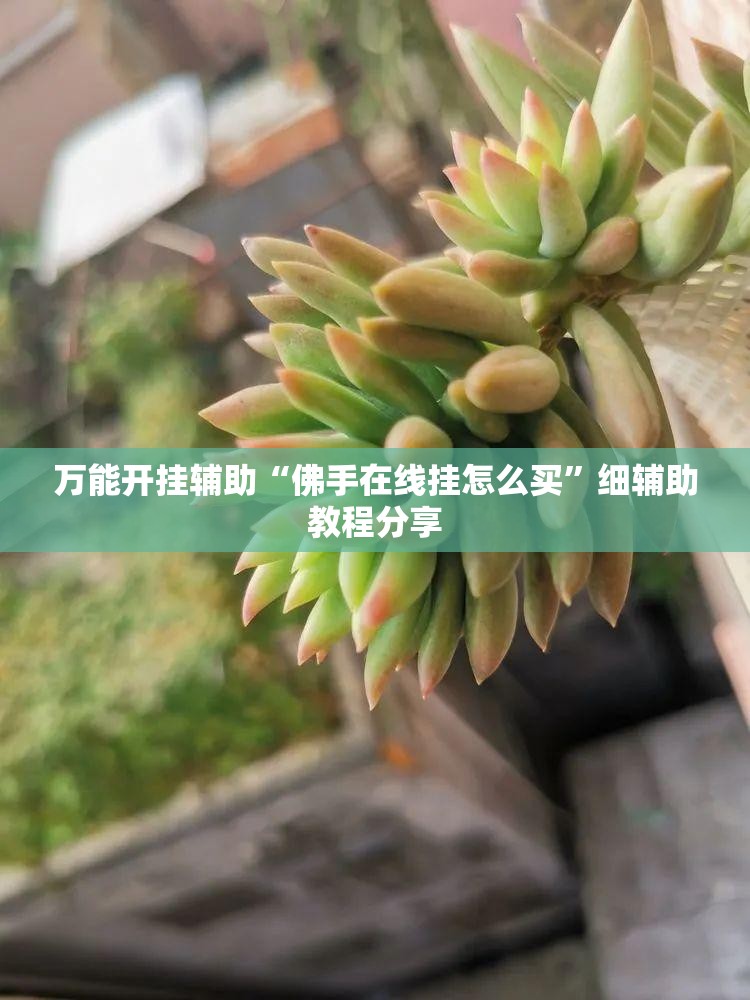 万能开挂辅助“佛手在线挂怎么买”细辅助教程分享
