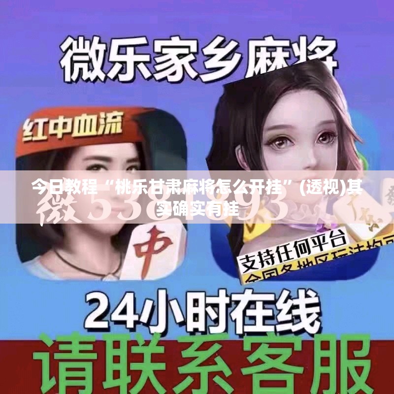 今日教程“桃乐甘肃麻将怎么开挂”(透视)其实确实有挂