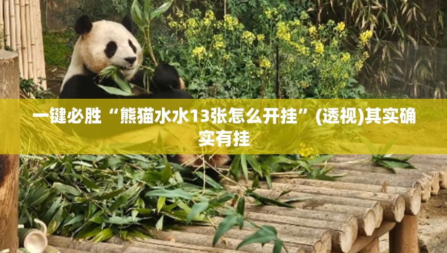 一键必胜“熊猫水水13张怎么开挂”(透视)其实确实有挂