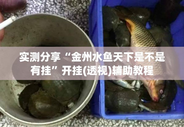 实测分享“金州水鱼天下是不是有挂	”开挂(透视)辅助教程