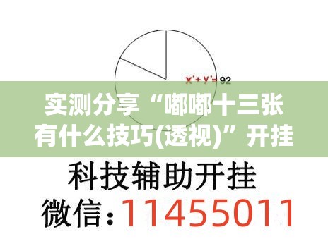 实测分享“嘟嘟十三张有什么技巧(透视)	”开挂辅助脚本+详细开挂安装教程