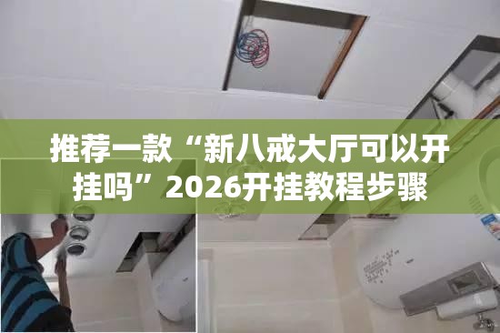 推荐一款“新八戒大厅可以开挂吗”2026开挂教程步骤