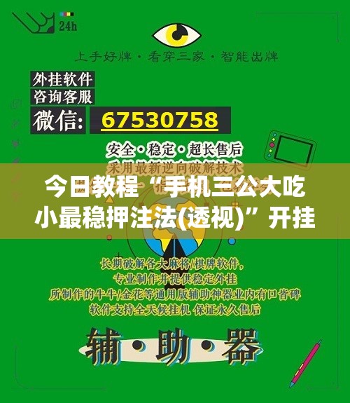 今日教程“手机三公大吃小最稳押注法(透视)	”开挂辅助脚本+详细开挂安装教程