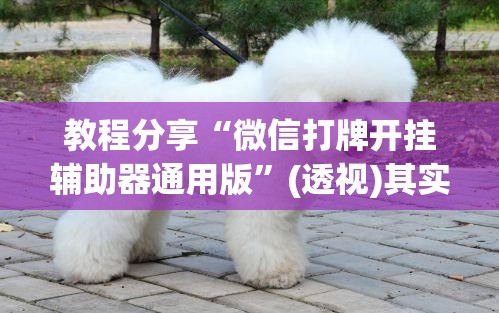 教程分享“微信打牌开挂辅助器通用版	”(透视)其实确实有挂