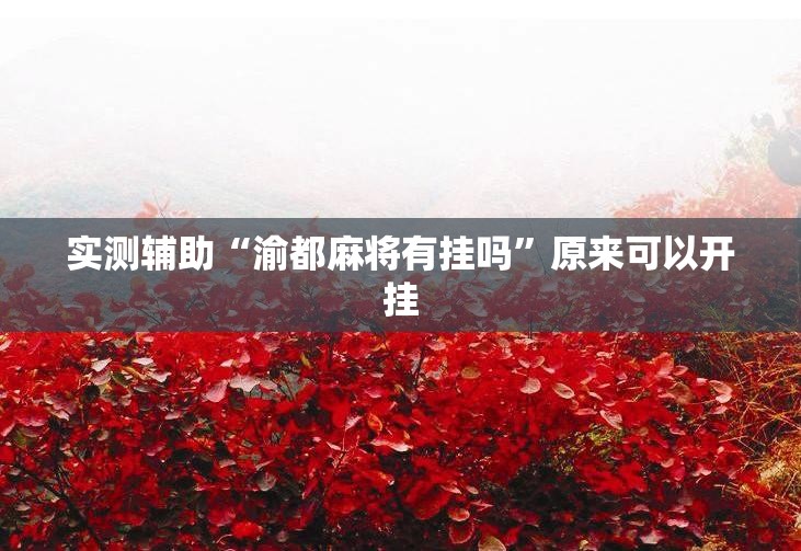 实测辅助“渝都麻将有挂吗”原来可以开挂