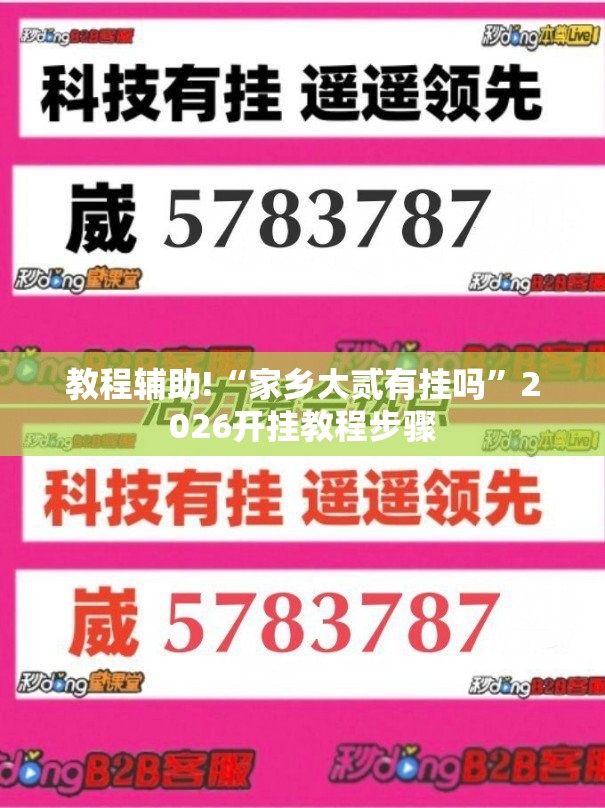 教程辅助!“家乡大贰有挂吗”2026开挂教程步骤