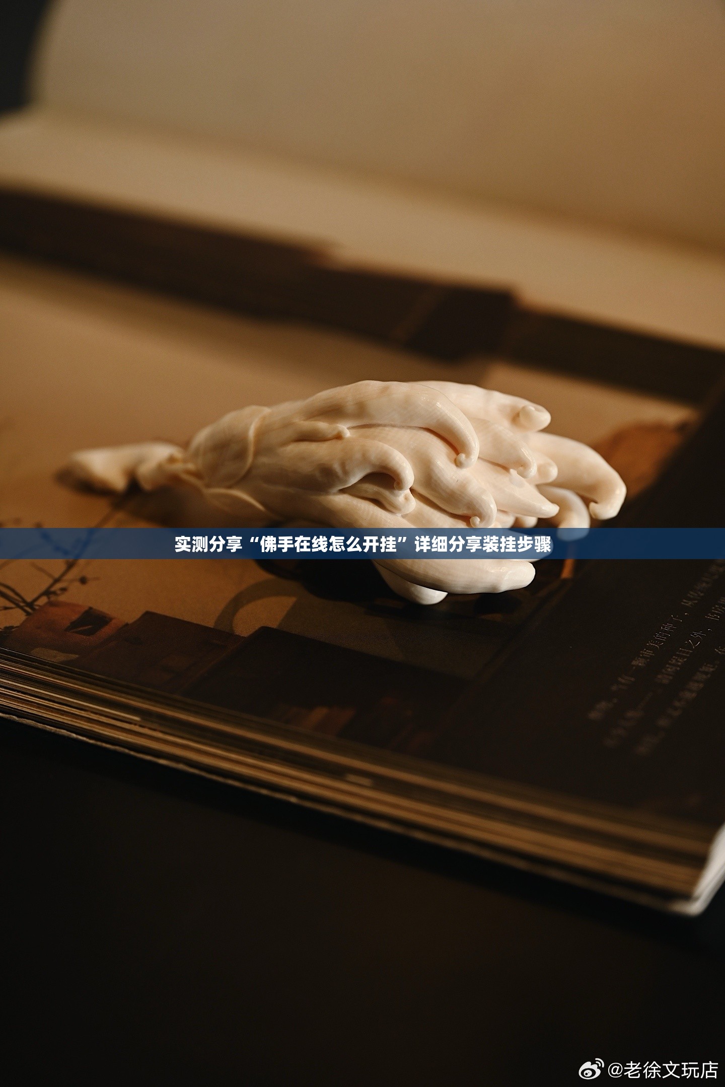 实测分享“佛手在线怎么开挂”详细分享装挂步骤