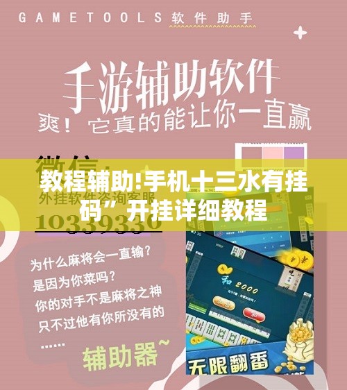 教程辅助!手机十三水有挂码	”开挂详细教程