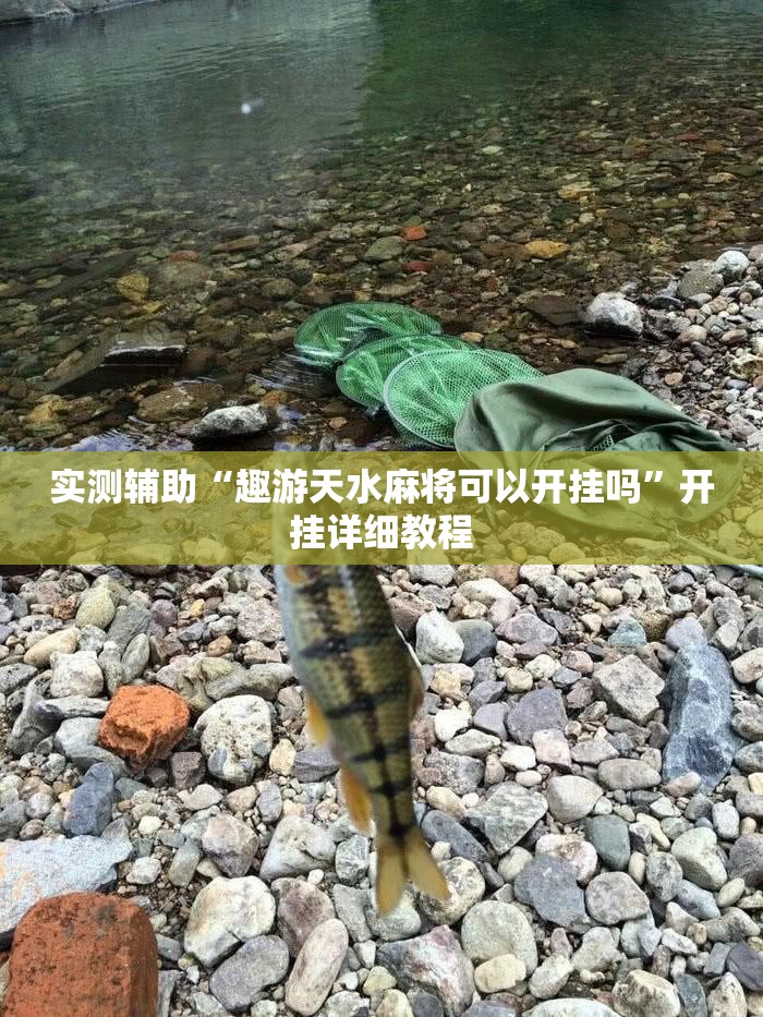 实测辅助“趣游天水麻将可以开挂吗”开挂详细教程