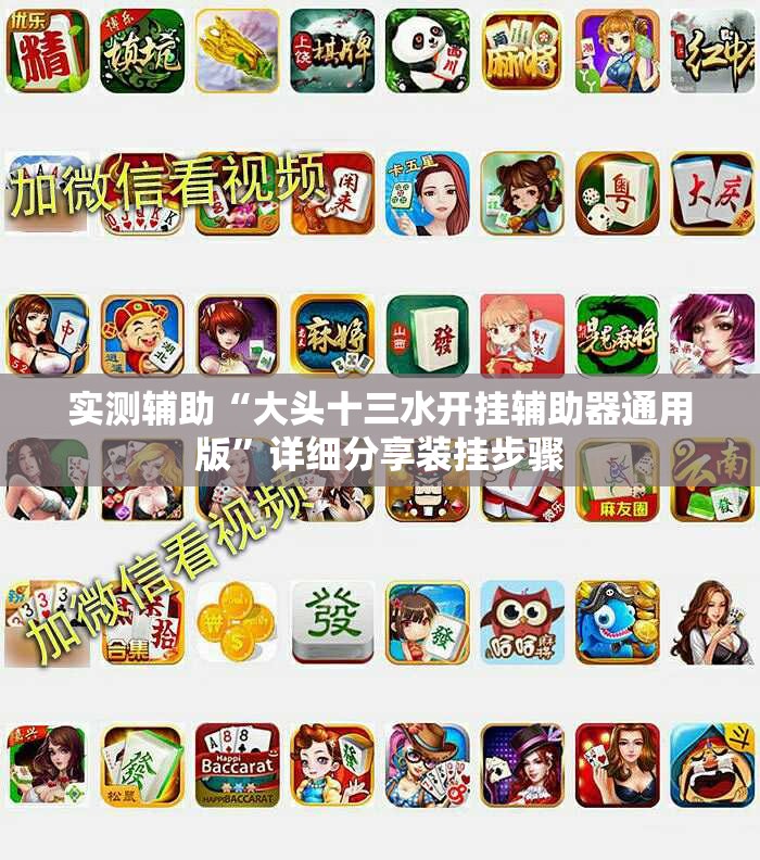 实测辅助“大头十三水开挂辅助器通用版	”详细分享装挂步骤