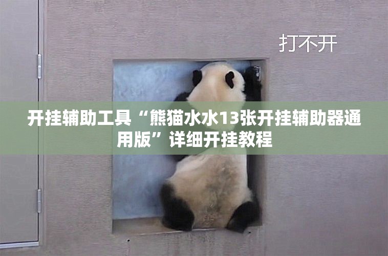 开挂辅助工具“熊猫水水13张开挂辅助器通用版	”详细开挂教程