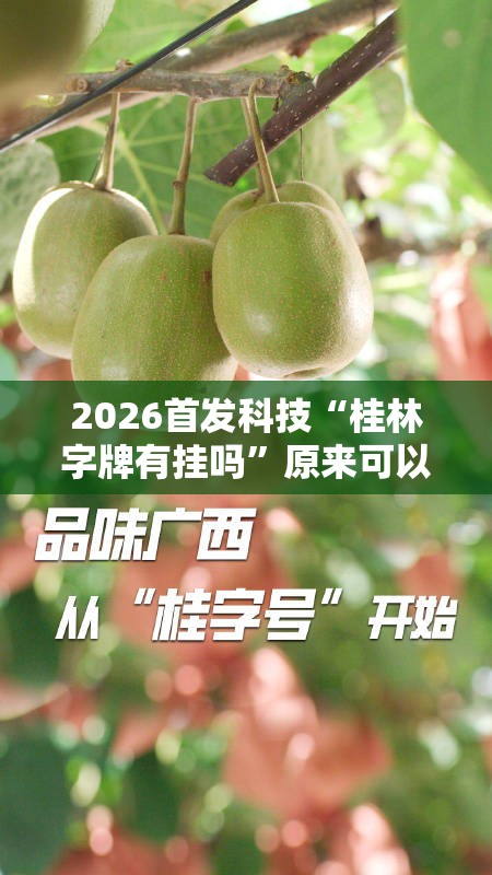 2026首发科技“桂林字牌有挂吗	”原来可以开挂