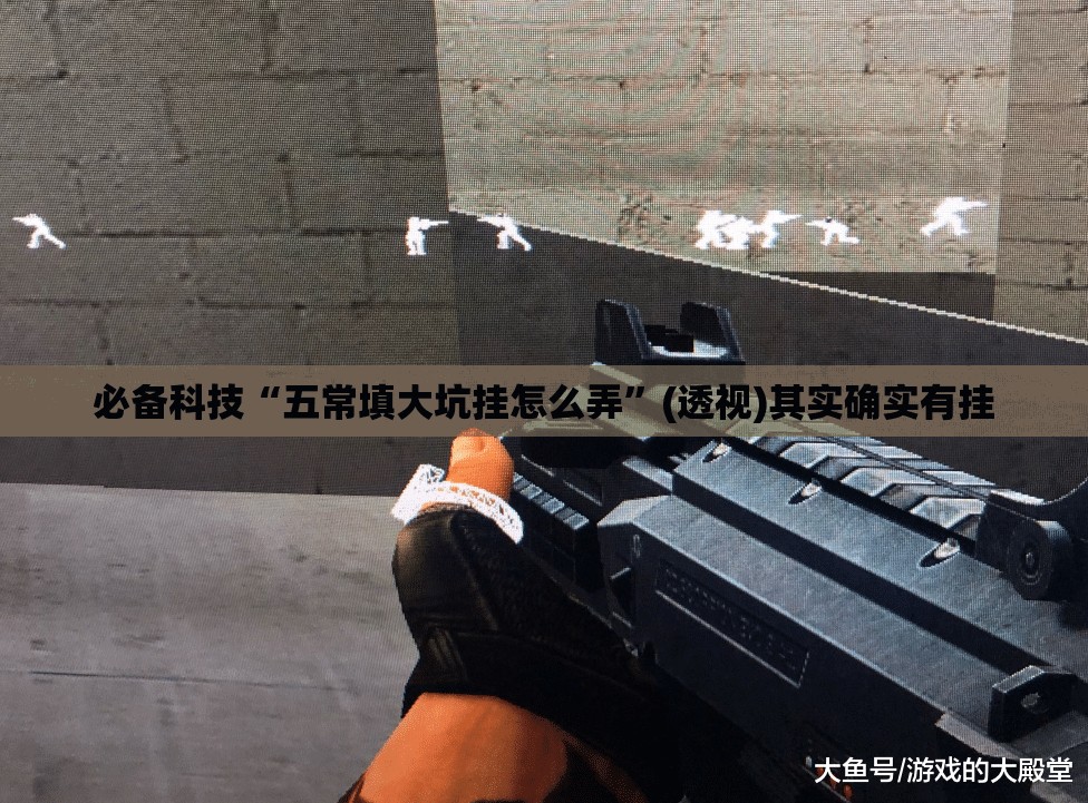 必备科技“五常填大坑挂怎么弄	”(透视)其实确实有挂