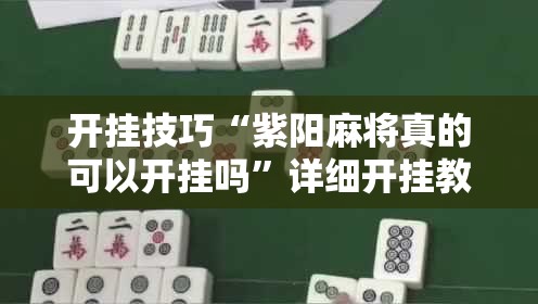 开挂技巧“紫阳麻将真的可以开挂吗”详细开挂教程