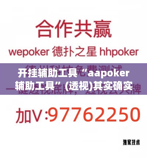 开挂辅助工具“aapoker辅助工具”(透视)其实确实有挂