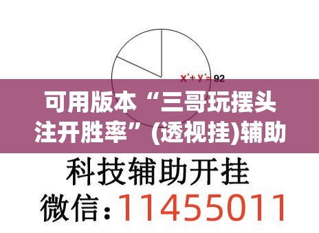 可用版本“三哥玩摆头注开胜率	”(透视挂)辅助下载教程