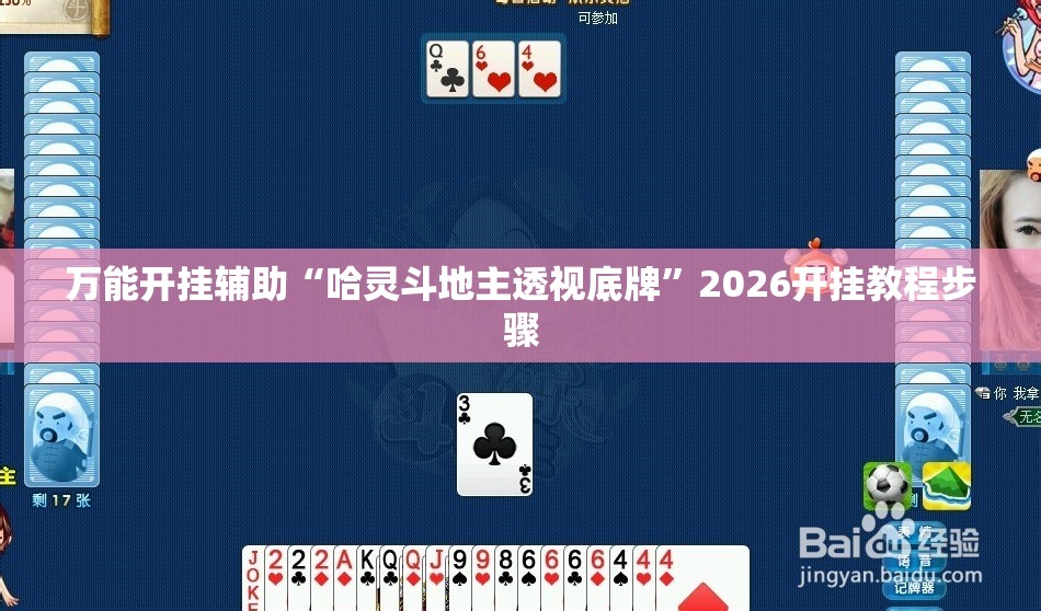 万能开挂辅助“哈灵斗地主透视底牌”2026开挂教程步骤