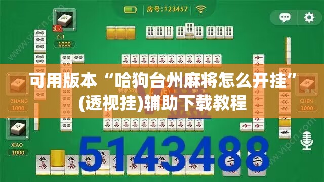 可用版本“哈狗台州麻将怎么开挂”(透视挂)辅助下载教程
