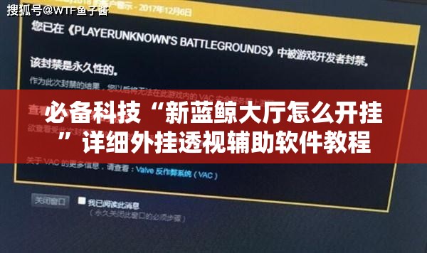 必备科技“新蓝鲸大厅怎么开挂”详细外挂透视辅助软件教程