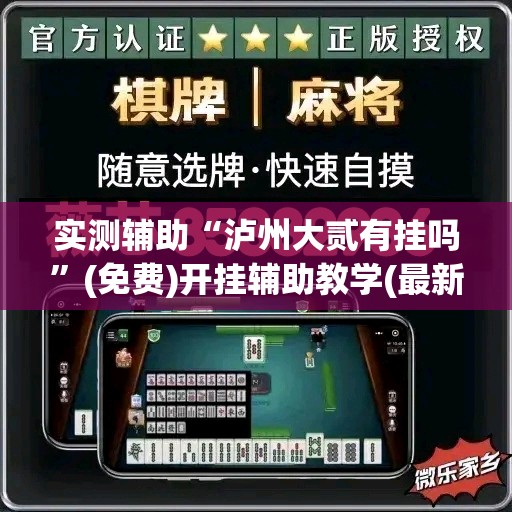 实测辅助“泸州大贰有挂吗	”(免费)开挂辅助教学(最新辅助开挂教程)