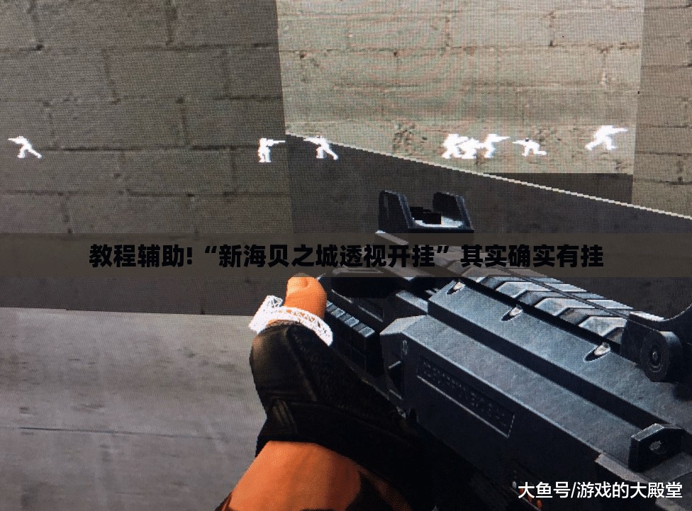 教程辅助!“新海贝之城透视开挂	”其实确实有挂