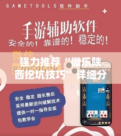 强力推荐“微乐陕西挖坑技巧”详细分享装挂步骤
