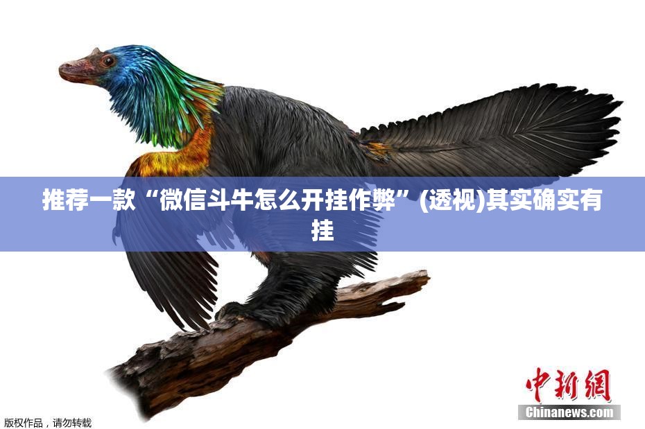推荐一款“微信斗牛怎么开挂作弊	”(透视)其实确实有挂