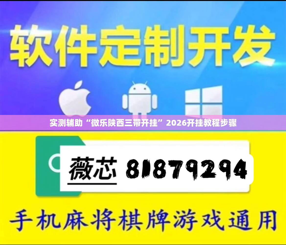 实测辅助“微乐陕西三带开挂”2026开挂教程步骤