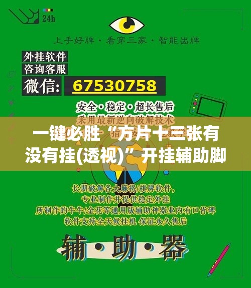 一键必胜“方片十三张有没有挂(透视)”开挂辅助脚本+详细开挂安装教程